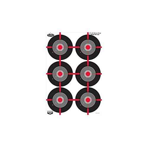 Birchwood Casey Non-Adhesive Dirty Bird 12"x18" Splattering Targets Practice Shooting for Indoor and Outdoor Use