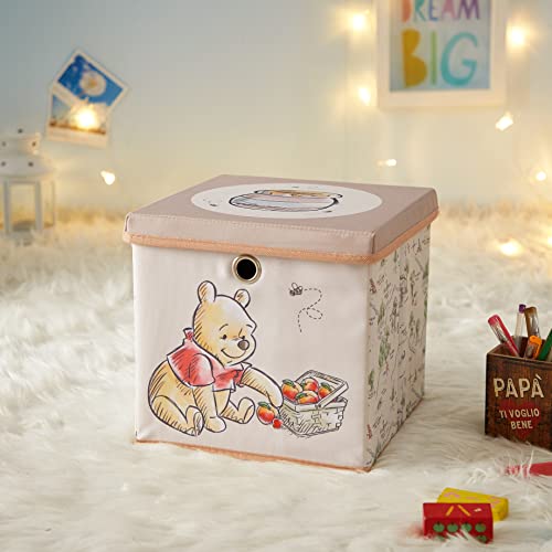 Idea Nuova Winnie the Pooh Collapsible Storage Cube with removable Lid, 10" Wx10 Hx10 D - color: Winnie The Pooh