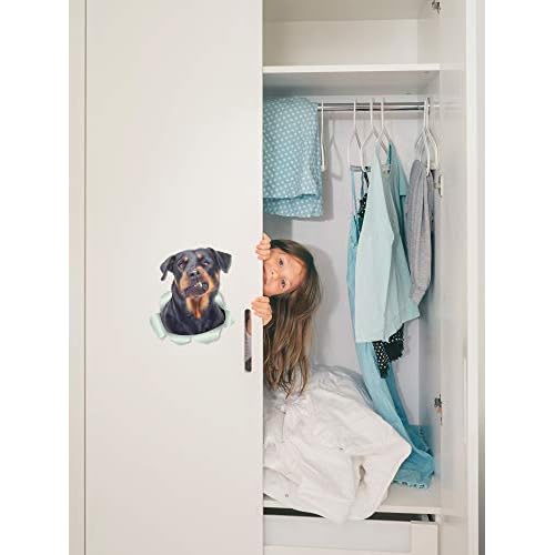Winston & Bear 3D Funny Rottweiler Stickers - 2 Pack - Rottweiler Wall Decals - Dog Lover Gifts - Dog Stickers for Bedroom - Fridge - Toilet - Car - Retail Packaged