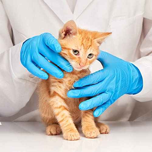Jointown Basic Medical Blue Nitrile Exam Gloves - Latex-Free & Powder-Free - NGPF7003 (Case of 1,000), Large