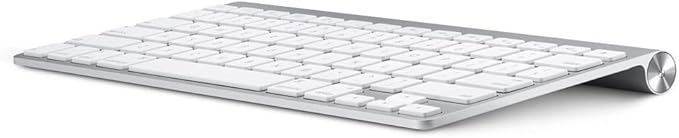 Apple Wireless Keyboard with Bluetooth - Silver (Renewed)