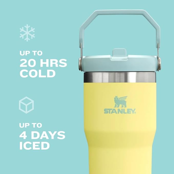 Stanley IceFlow Flip Straw Tumbler with Handle 20 oz | Twist On Lid and Flip Up Straw | Leak Resistant Water Bottle | Insulated Stainless Steel |BPA-Free | Tigerlily Plum