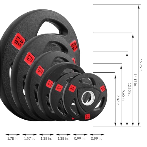Fitvids Olympic Cast Iron 2-Inch Weight Plate for Strength Training & Weightlifting, Rubber Coate Style, Multiple Weights Available