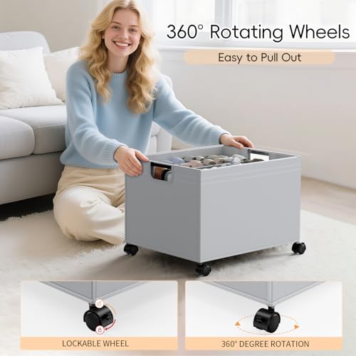 HOUSE AGAIN Shoe Organizer for Closet, Foldable Shoe Storage Organizer Box with Wheels and Adjustable Dividers, Sturdy Metal Frame Fits up to 16-32 Pairs, Large Shoes Storage with Clear Cover - size: 1 Pack