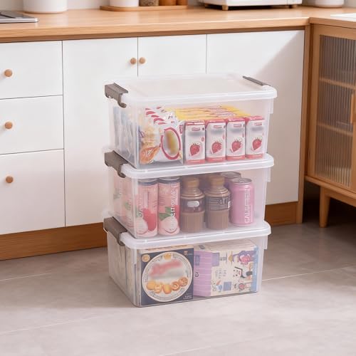 Citylife 17 QT Plastic Storage Bins with Lids Latching Stackable Storage Containers for Organizing Large Clear Storage Box for Garage, Craft, Toys, Closet, Home, 1 Packs - size: 1 Pack-17QT-N