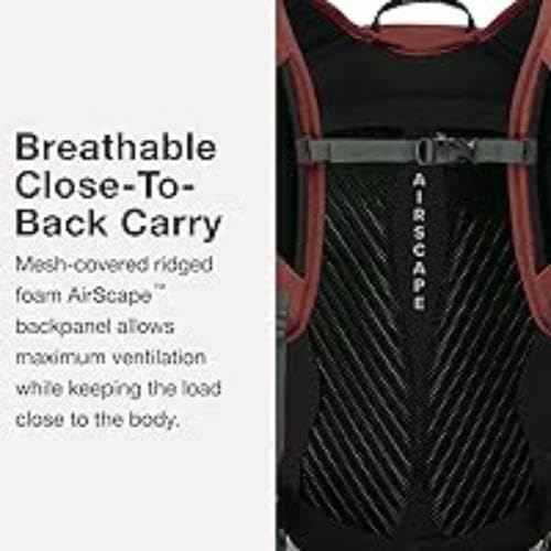 Osprey Sportlite 20L Unisex Hiking Backpack, Pine Leaf Green