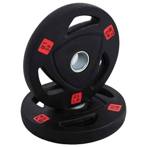 Fitvids standard Cast Iron 1-inch Weight Plate for Strength Training & Weightlifting, Rubber Coate Style, 45lbs, Pair