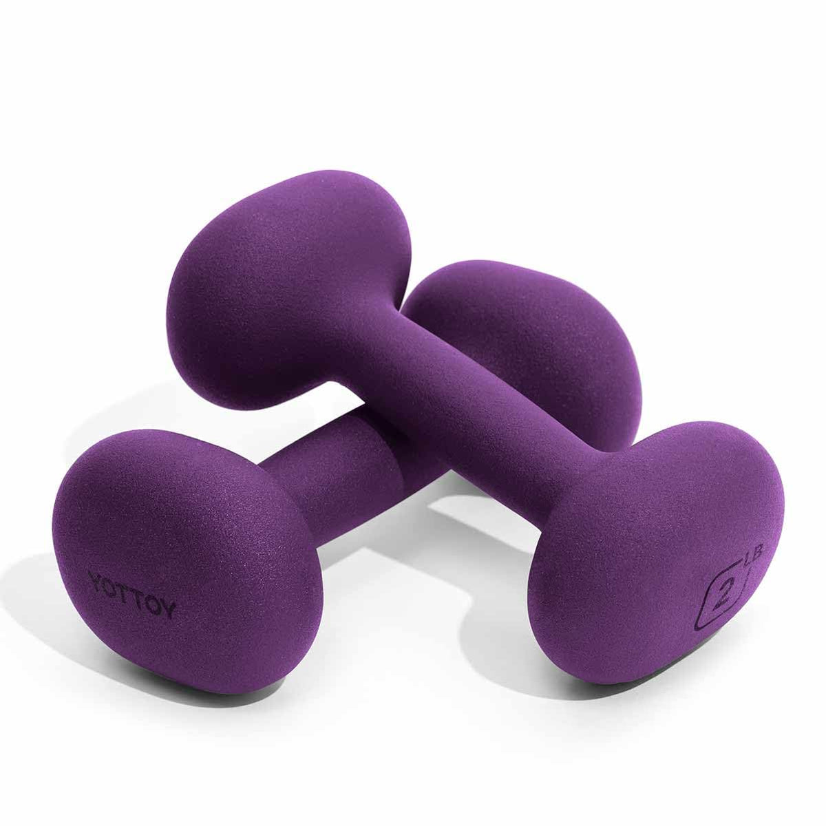 YOTTOY Dumbbell Set of 2,2-15 Pound Hand Weights for Women, Non-Slip Hand Weights for Home Gym, Strength Training, and Full-Body Workouts (Purple, 10LB-Pair)