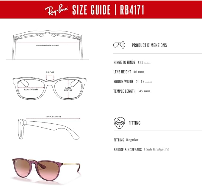 Ray-Ban RB4171 ERIKA Round Sunglasses For Women +BUNDLE with ACCESSORY EYEWEAR KIT