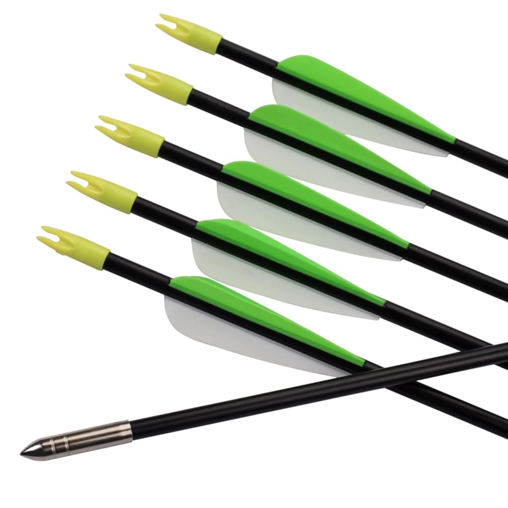 Fiberglass Practice Arrows Archery 30 Inch Target Shooting Safety Recurve Bows Suitable for Youth Woman Beginner 6 PCS