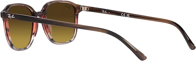 Ray-Ban RB2193 Leonard Square Sunglasses