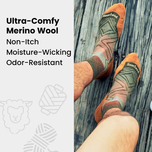 Smartwool Men's Maximum Cushion Merino Wool Mountaineer Tall Crew Socks