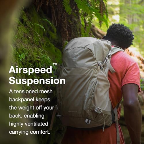 Osprey Hikelite 18L Lightweight Hiking Backpack - Durable Travel Daypack with Rain Cover for Men and Women, Pine Leaf Green