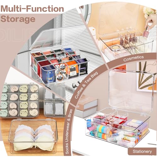 DILIBRA Socks Underwear Drawer Organizer for Closet, 16 Compartment Removable Divided Plastic Clear Sock Storage Box with Lid, Underwear Storage Tie Organizer Box for Bra Socks Ties Scarf Tea Bag
