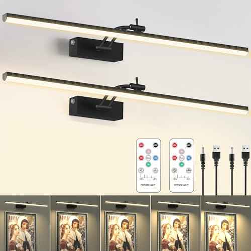 23.6 Inch Picture Light for Wall, 2 Pack 6400mAh Rechargeable Battery Operated Picture Lights, Cordless with Remote Gallery Light for Wall Pictures, Paintings, Artwork, Poster, Dartboards (Black)