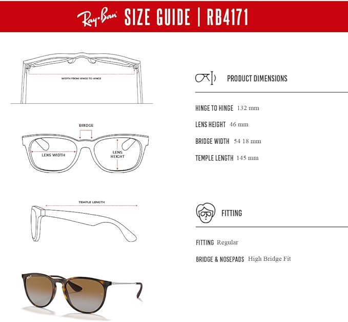 Ray-Ban RB4171 ERIKA Round Sunglasses For Women +BUNDLE with ACCESSORY EYEWEAR KIT