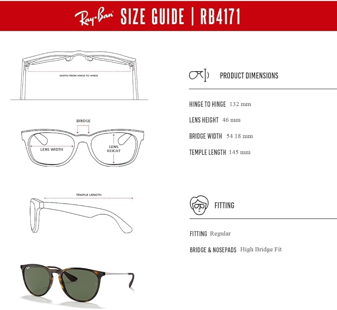 Ray-Ban RB4171 ERIKA Round Sunglasses For Women +BUNDLE with ACCESSORY EYEWEAR KIT