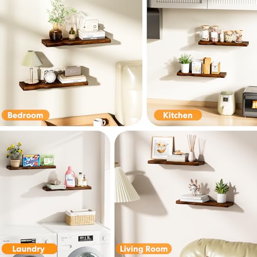 Solid Wood Live Edge Floating Shelves Set of 2 – 24" Rustic Wall Shelf with Hidden Bracket System, Wall Mounted Shelves for Bathroom, Kitchen, Living Room, Bedroom (Walnut) - color: Walnut, size: 24 inch - 2pcs