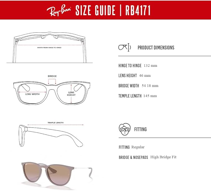 Ray-Ban RB4171 ERIKA Round Sunglasses For Women +BUNDLE with ACCESSORY EYEWEAR KIT