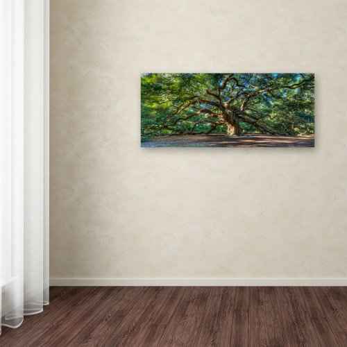 Trademark Fine Art Angel Oak Charleston by Pierre Leclerc work, 24 by 47-Inch Canvas Wall Art, green