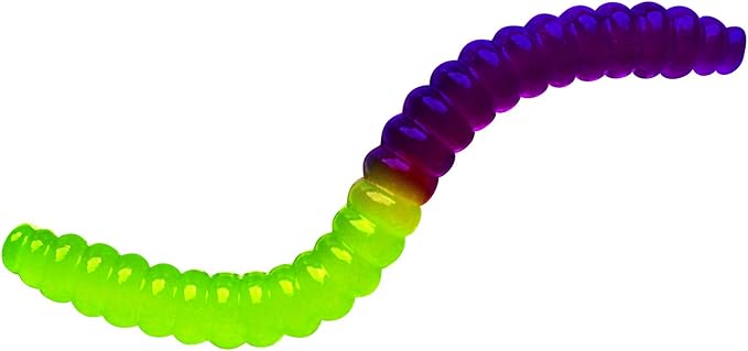 Gross Gummy Candy Lab - Worms & Spiders! Sweet Science STEM Experiment Kit, Make Your Own Plant-Based Gummy Candies in Cool Shapes & Colors | Learn Chemistry | Looks Gross, Tastes Great