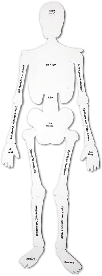 Learning Resources Skeleton Floor Puzzle - Science Classroom Must Haves, STEM Student Essentials, Practice Anatomy, Back to School Supplies for Teachers, Ages 3+