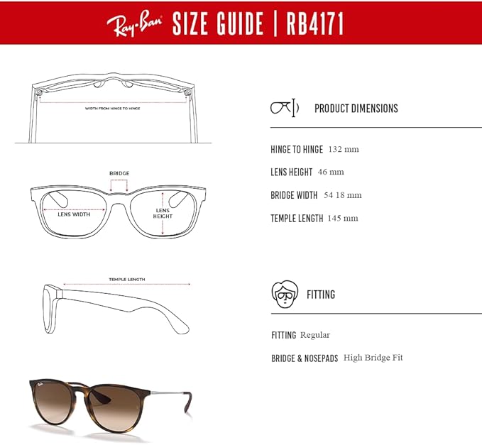 Ray-Ban RB4171 ERIKA Round Sunglasses For Women +BUNDLE with ACCESSORY EYEWEAR KIT
