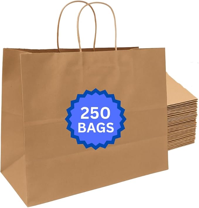 ASSUREPAK Kraft DIY Paper Bags, 16" x 6" x 12", 110 GSM, 250 Count