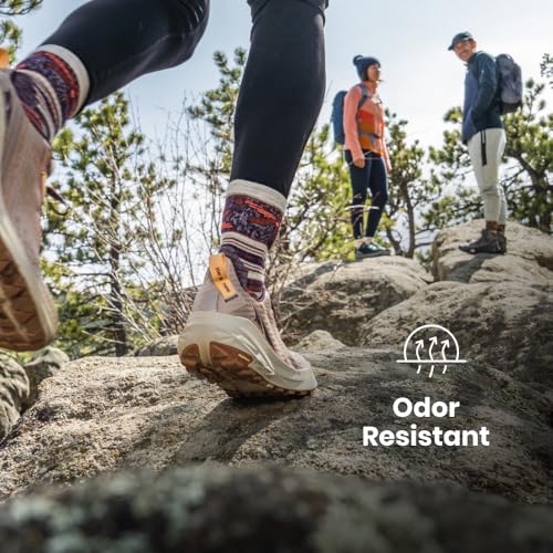 Smartwool Men's Run Zero Cushion Low Ankle Socks