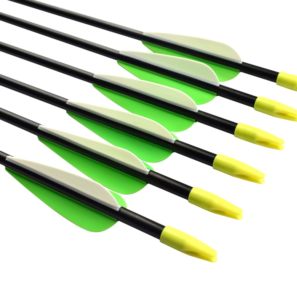 Fiberglass Practice Arrows Archery 30 Inch Target Shooting Safety Recurve Bows Suitable for Youth Woman Beginner 6 PCS