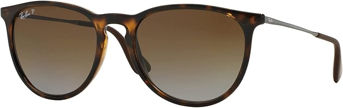 Ray-Ban RB4171 ERIKA Round Sunglasses For Women +BUNDLE with ACCESSORY EYEWEAR KIT