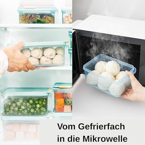 LocknLock Freezer Fit Plastic Freezer Containers | Airtight Stackable Food Storage for Meal Prep | Microwave & Dishwasher Safe | BPA Free Freezer Container with Lid, 2.2L - size: 2200ml
