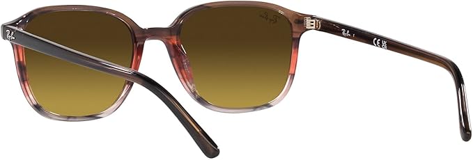 Ray-Ban RB2193 Leonard Square Sunglasses