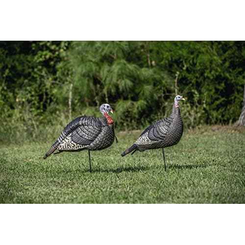 Hunters Specialties HS Strut Lite Jake & Feeding Hen Turkey Foldable Hollow Relaxed Body Realistic 2-Pack Couple Flock Combo Decoys