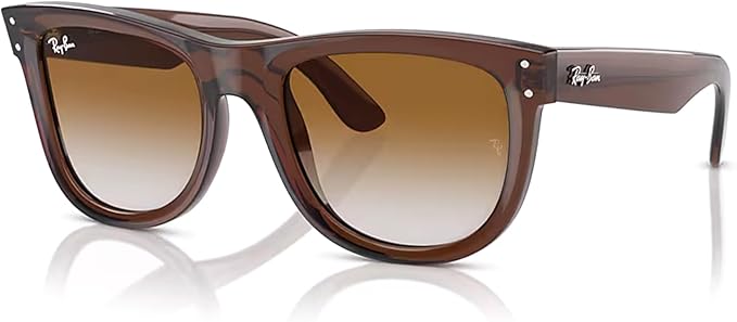 Ray-Ban Wayfarer Reverse RBR0502S Square Sunglasses for Men for Women +BUNDLE with ACCESSORY EYEWEAR KIT