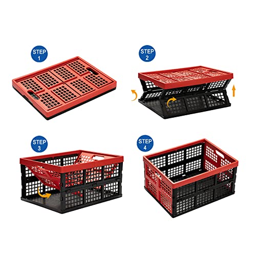 Eslite 34L Large Plastic Folding Storage Crates,Collapsible Crates for Storage,Pack of 3 (Black+Red) - color: Black+Red