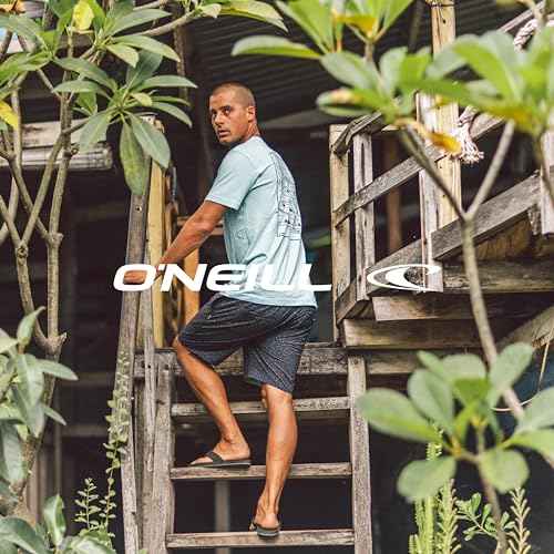 O'NEILL Men's 19 Inch Reserve Light Check Hybrid Shorts - Quick Dry Swim Trunks for Men with Fabric and Pockets
