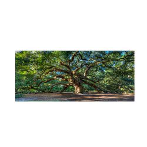 Trademark Fine Art Angel Oak Charleston by Pierre Leclerc work, 24 by 47-Inch Canvas Wall Art, green