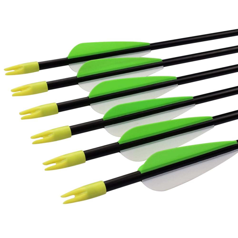 Fiberglass Practice Arrows Archery 30 Inch Target Shooting Safety Recurve Bows Suitable for Youth Woman Beginner 6 PCS
