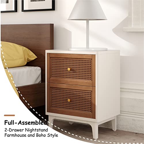 COZAYH Set of 2 Fully-Assembled 2-Drawer Woven Cane Front Accent Nightstand with Brass Knobs, Distressed White - color: Distressed White, style: 2 Drawer/2 pack