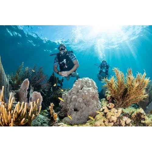 SCUBAPRO Zoom Scuba Mask with Ultra Clear Dual Lens and Lens-Change System for Optical Lenses for Diving, Full Black