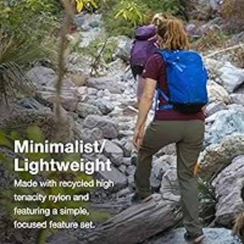 Osprey Sportlite 20L Unisex Hiking Backpack, Pine Leaf Green