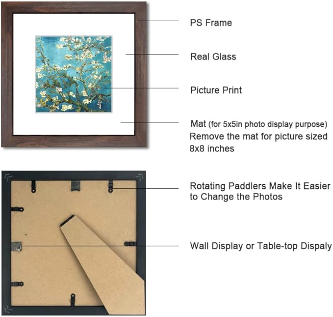 8x8 Walnut Picture Frame Set of 6 with Real Glass for Pictures 5x5 with Mat or 8x8 Without Mat, Wall or Tabletop Gallery Photo Frames