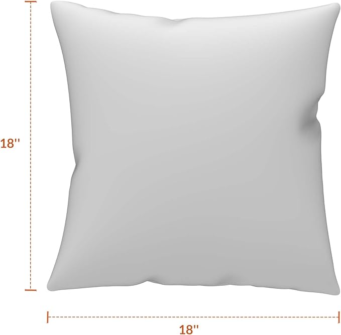 Covers & All Sunbrella Outdoor Throw Pillows, Pack of 2 Water Resistant & UV Fade Resistant Premium Square Throw Pillows (Inserts with Covers) for Indoor & Outdoor Use,18" x 18" Canvas Sunflower