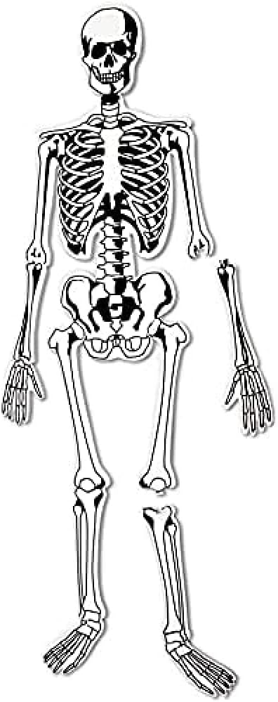 Learning Resources Skeleton Floor Puzzle - Science Classroom Must Haves, STEM Student Essentials, Practice Anatomy, Back to School Supplies for Teachers, Ages 3+