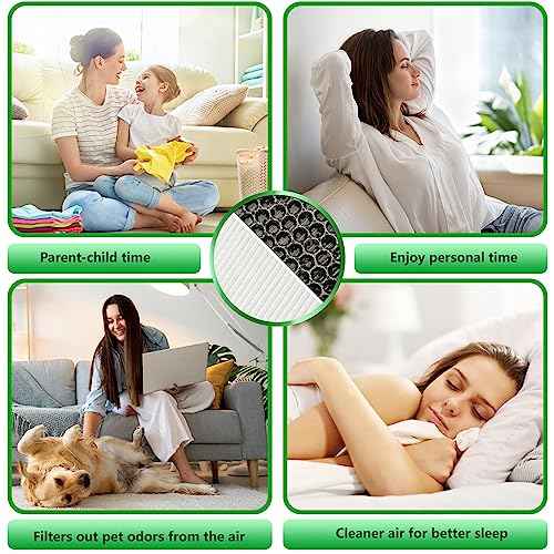 AP401 AP402 Replacement Filter,Compatible with Dr.J AP401&Dayette AP401 AP402&GCZ AP402&JOWSET AP402 AP403&FRESHDEW AP402 AP403 Air Purifier,H13 Filter,2 Pack