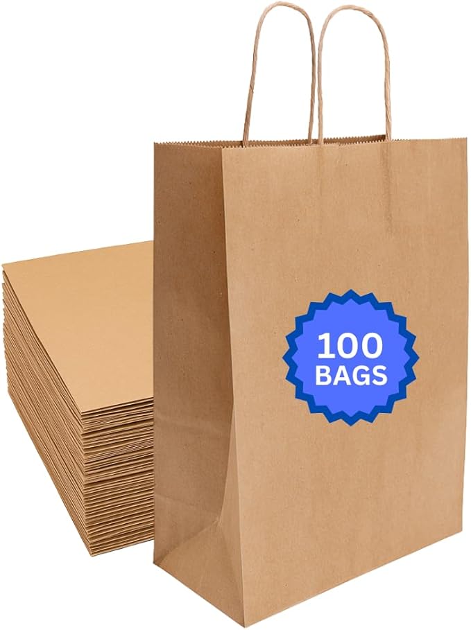 ASSUREPAK Kraft DIY Paper Bags, 10" x 6.75" x 12", 90 GSM, 100 Count