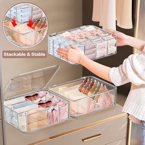 DILIBRA Socks Underwear Drawer Organizer for Closet, 16 Compartment Removable Divided Plastic Clear Sock Storage Box with Lid, Underwear Storage Tie Organizer Box for Bra Socks Ties Scarf Tea Bag