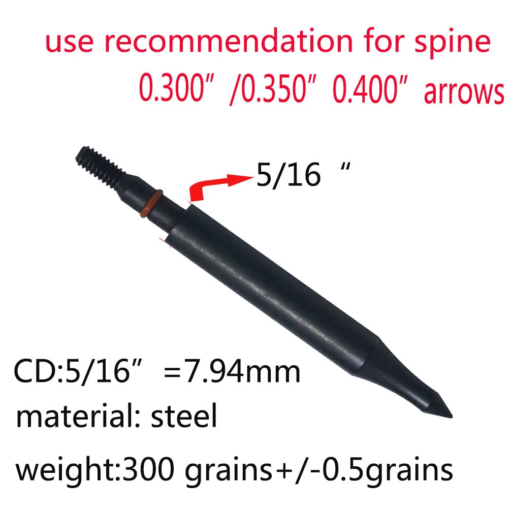 Field Points arrowheads 300 Grains Archery Field Points, 5/16" Steel Screw in Archery Field Tips and Broadheads (1 Dozen 12 PCS)