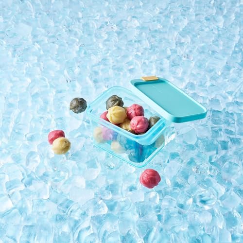 LocknLock Freezer Fit Plastic Freezer Containers | Airtight Stackable Food Storage for Meal Prep | Microwave & Dishwasher Safe | BPA Free Freezer Container with Lid, 2.2L - size: 2200ml